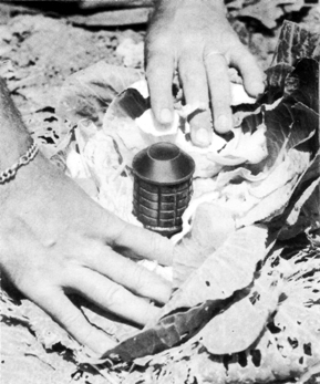 Photo: JAPANESE WEAPONS: Hand Grenade