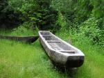 Photo: Another view of the log canoes used by Lewis and Clark while they were at Fort Clatsop. 