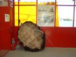 Photo: Interior shot of COE traveling display. This depicts an animal skin and wooden framed "bull boat" used by the Indians to cross rivers.