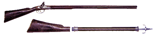 The Air Rifle