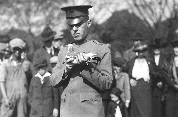 Photo:  Signal Corps soldier demonstrates the employment of pigeons at Camp Alfred Vail