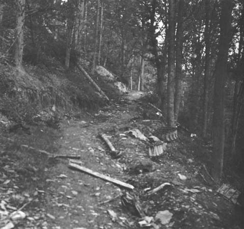 Photo: Kall Trail, looking toward Vossenack. Note thrown lank tracks. 