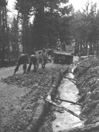 Photo: Engineers Repair a Road in the Huertgen Forest, 25 November.