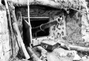 Photo: 12-cm. British gun in concrete emplacement