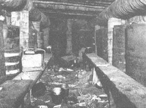 Photo: Interior of a Japanese Bunker in the Duropa Plantation