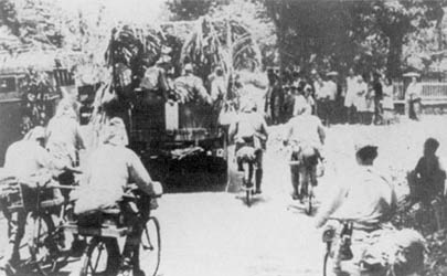Japanese troops move through Java.