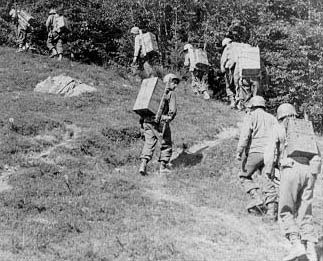 Infantry pack teams bring supplies to units fighting in the Gothic Line near Futa Pass.