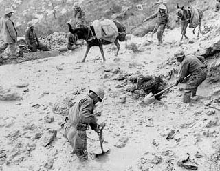 Soldiers work on a trail near Monte Grande, while an Indian pack mule convoy returns from taking supplies to the front line.