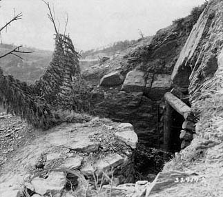German defensive position: camouflaged log bunker.