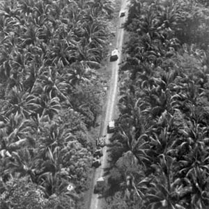 19th Infantry on Route 1 moving through hemp plantation toward Davao.