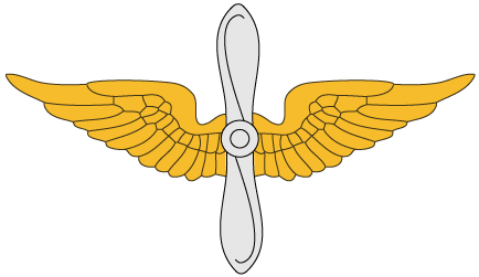 Aviation Branch Insignia