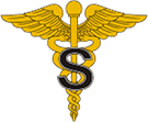 Medical Specialist Corps Branch Insignia