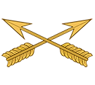 Special Forces Branch Insignia