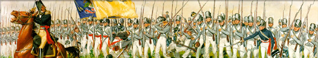 Battle of Chippewa Banner